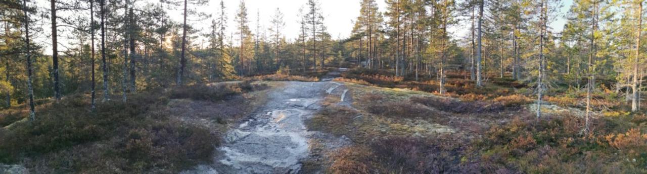 Hyttingsfabodstugor Borlänge Zewnętrze zdjęcie
