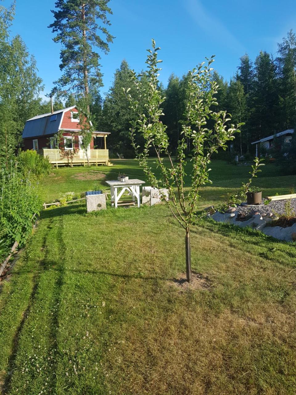 Hyttingsfabodstugor Borlänge Zewnętrze zdjęcie